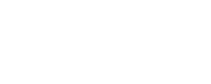 mailerlite badge